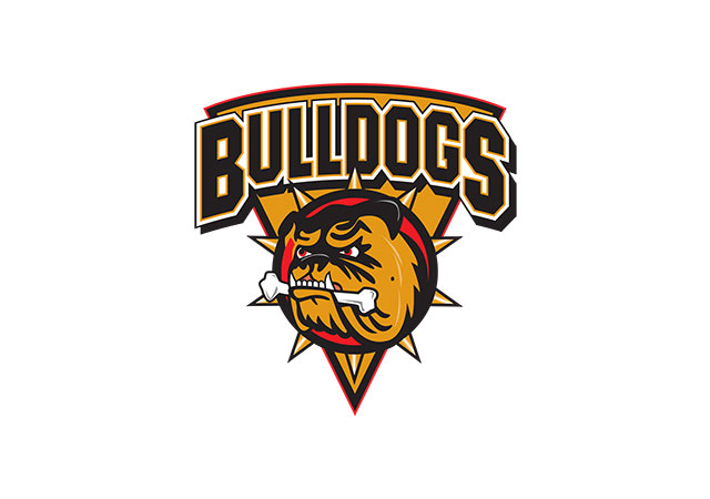 BulldogsFI